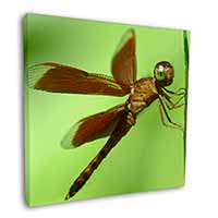 Dragonflies, Close-Up Dragonfly Print Square Canvas 12"x12" Wall Art Picture Pri