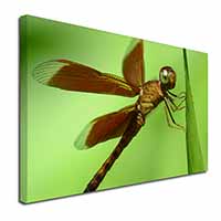 Dragonflies, Close-Up Dragonfly Print Canvas X-Large 30"x20" Wall Art Print