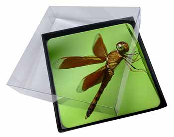 4x Dragonflies, Close-Up Dragonfly Print Picture Table Coasters Set in Gift Box
