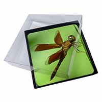 4x Dragonflies, Close-Up Dragonfly Print Picture Table Coasters Set in Gift Box