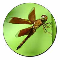 Dragonflies, Close-Up Dragonfly Print Fridge Magnet Printed Full Colour