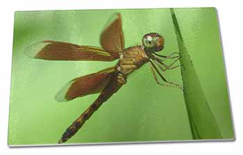 Large Glass Cutting Chopping Board Dragonflies, Close-Up Dragonfly Print