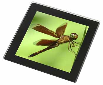 Dragonflies, Close-Up Dragonfly Print Black Rim High Quality Glass Coaster