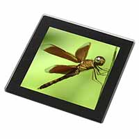 Dragonflies, Close-Up Dragonfly Print Black Rim High Quality Glass Coaster