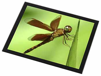 Dragonflies, Close-Up Dragonfly Print Black Rim High Quality Glass Placemat