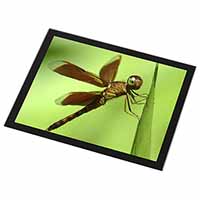 Dragonflies, Close-Up Dragonfly Print Black Rim High Quality Glass Placemat