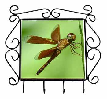 Dragonflies, Close-Up Dragonfly Print Wrought Iron Key Holder Hooks