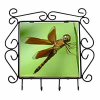 Dragonflies, Close-Up Dragonfly Print Wrought Iron Key Holder Hooks