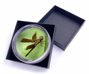 Dragonflies, Close-Up Dragonfly Print Glass Paperweight in Gift Box