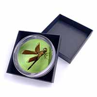 Dragonflies, Close-Up Dragonfly Print Glass Paperweight in Gift Box