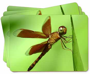 Dragonflies, Close-Up Dragonfly Print Picture Placemats in Gift Box