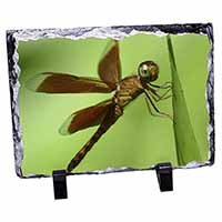 Dragonflies, Close-Up Dragonfly Print, Stunning Photo Slate