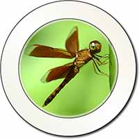 Dragonflies, Close-Up Dragonfly Print Car or Van Permit Holder/Tax Disc Holder