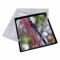 4x Dragonflies Print Picture Table Coasters Set in Gift Box