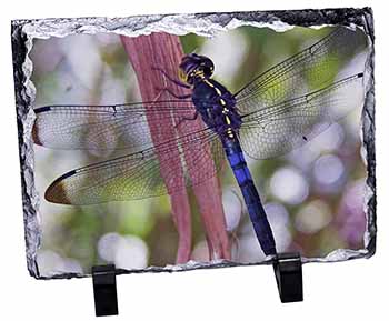 Dragonflies Print, Stunning Photo Slate