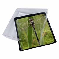 4x Dragonfly Print Picture Table Coasters Set in Gift Box