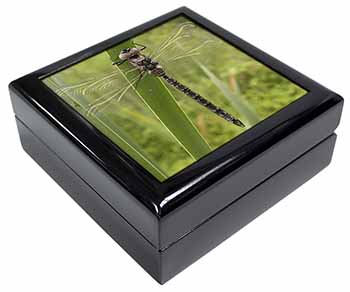 Dragonfly Print Keepsake/Jewellery Box