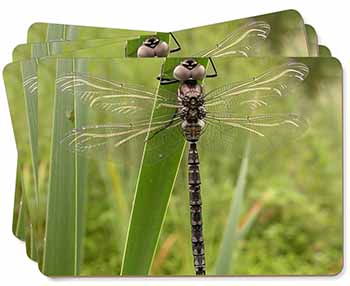 Dragonfly Print Picture Placemats in Gift Box