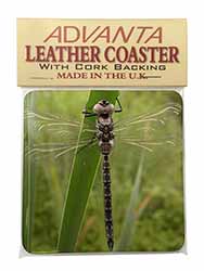 Dragonfly Print Single Leather Photo Coaster