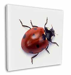 Close-Up Ladybird Print Square Canvas 12"x12" Wall Art Picture Print