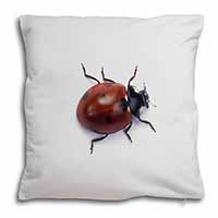 Close-Up Ladybird Print Soft White Velvet Feel Scatter Cushion