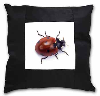 Close-Up Ladybird Print Black Satin Feel Scatter Cushion