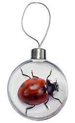 Close-Up Ladybird Print Christmas Bauble