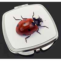 Close-Up Ladybird Print Make-Up Compact Mirror