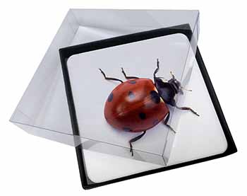 4x Close-Up Ladybird Print Picture Table Coasters Set in Gift Box