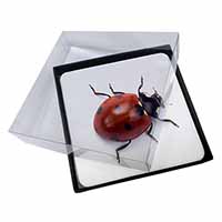4x Close-Up Ladybird Print Picture Table Coasters Set in Gift Box