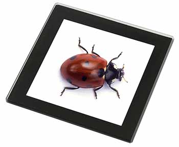 Close-Up Ladybird Print Black Rim High Quality Glass Coaster