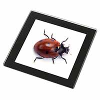 Close-Up Ladybird Print Black Rim High Quality Glass Coaster
