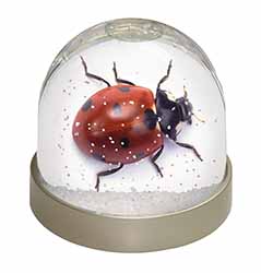 Close-Up Ladybird Print Snow Globe Photo Waterball