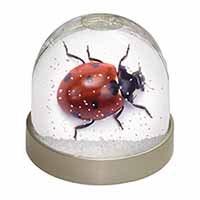 Close-Up Ladybird Print Snow Globe Photo Waterball