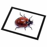 Close-Up Ladybird Print Black Rim High Quality Glass Placemat
