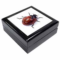 Close-Up Ladybird Print Keepsake/Jewellery Box