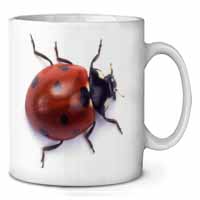 Close-Up Ladybird Print Ceramic 10oz Coffee Mug/Tea Cup