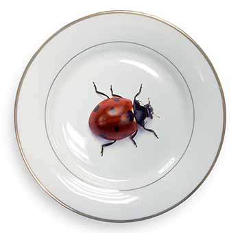 Close-Up Ladybird Print Gold Rim Plate Printed Full Colour in Gift Box