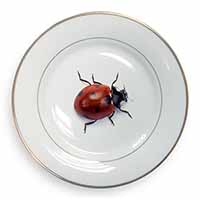 Close-Up Ladybird Print Gold Rim Plate Printed Full Colour in Gift Box