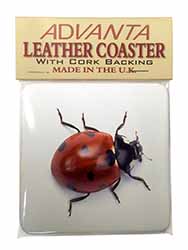 Close-Up Ladybird Print Single Leather Photo Coaster