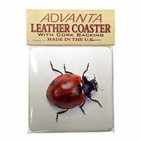 Close-Up Ladybird Print Single Leather Photo Coaster