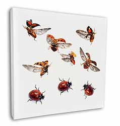 Flying Ladybirds Square Canvas 12"x12" Wall Art Picture Print