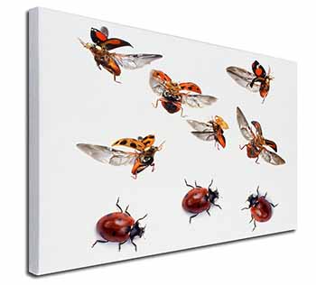 Flying Ladybirds Canvas X-Large 30"x20" Wall Art Print
