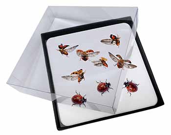 4x Flying Ladybirds Picture Table Coasters Set in Gift Box