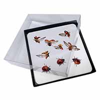 4x Flying Ladybirds Picture Table Coasters Set in Gift Box