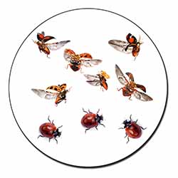 Flying Ladybirds Fridge Magnet Printed Full Colour