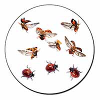 Flying Ladybirds Fridge Magnet Printed Full Colour