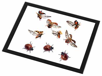 Flying Ladybirds Black Rim High Quality Glass Placemat