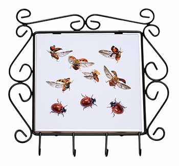 Flying Ladybirds Wrought Iron Key Holder Hooks