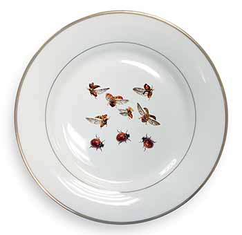 Flying Ladybirds Gold Rim Plate Printed Full Colour in Gift Box